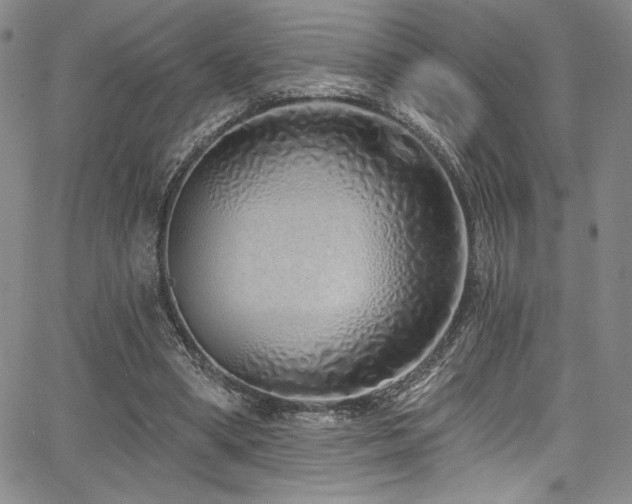 X0000068270394200604211115