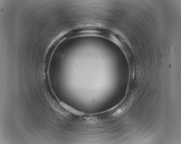 X0000068270395200604211115