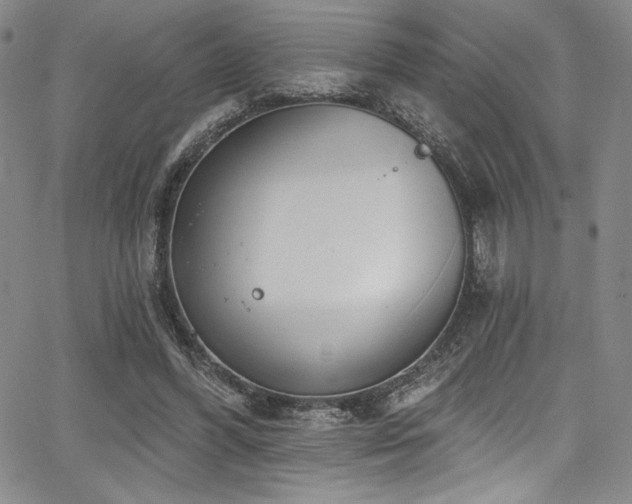 X0000068270396200604211115