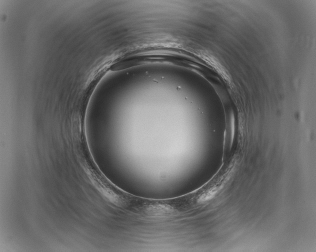 X0000068270397200604211115