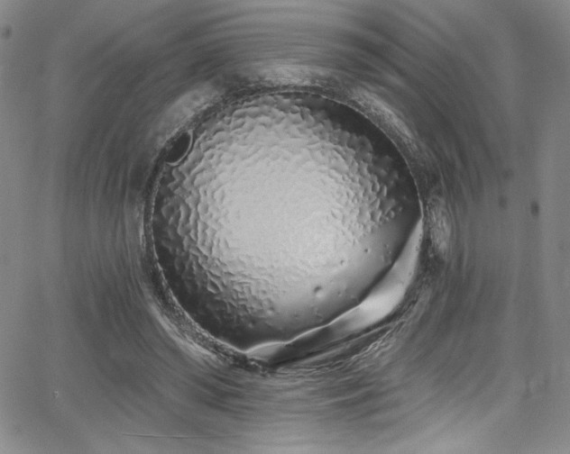 X0000068270398200604211115