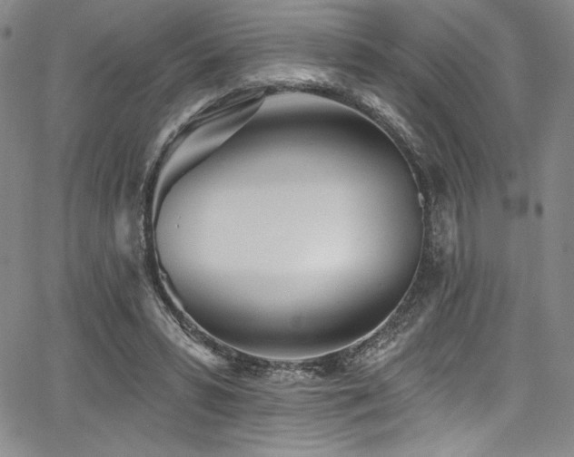 X0000068270399200604211115