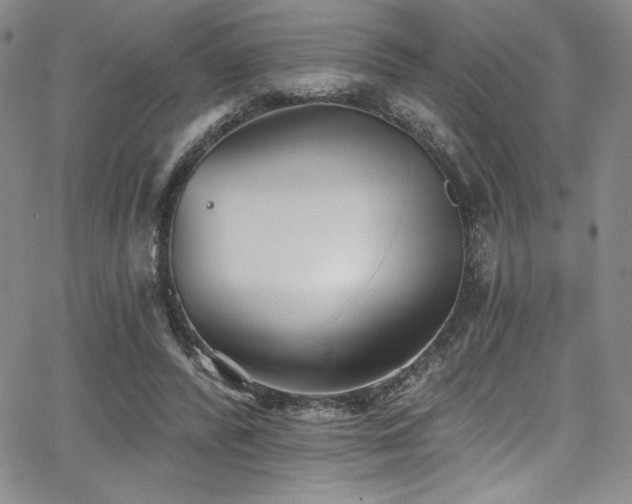 X0000068270400200604211115