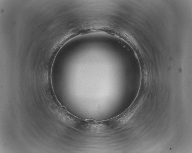 X0000068270401200604211115