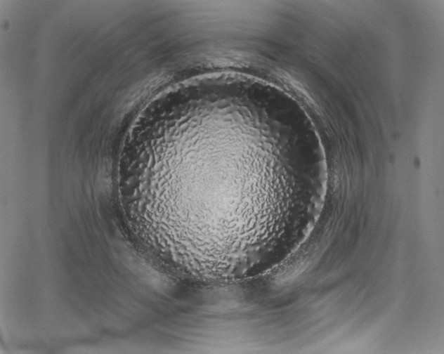 X0000068270402200604211115