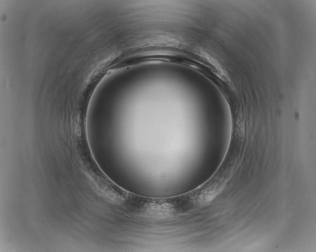 X0000068270403200604211115