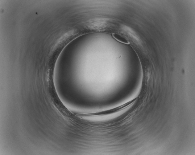 X0000068270404200604211115