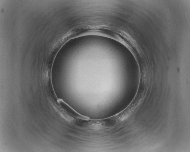 X0000068270405200604211115