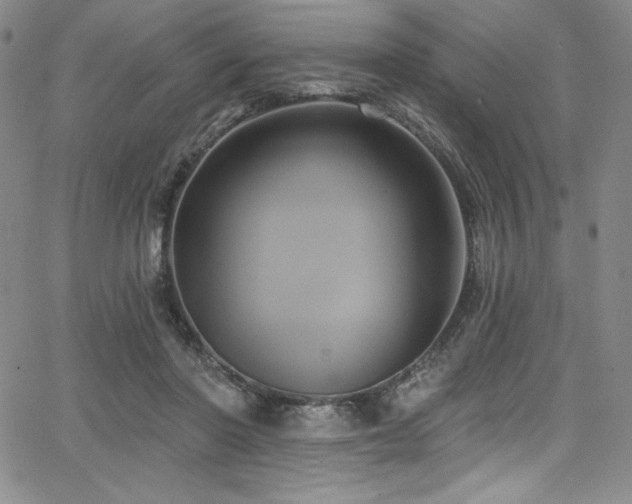 X0000068270406200604211115