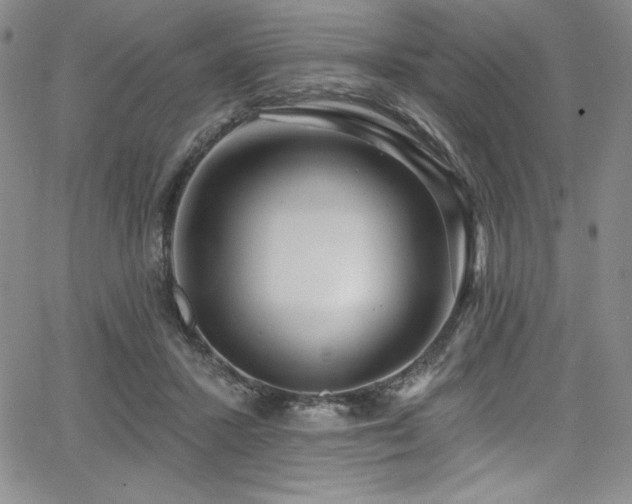 X0000068270407200604211115