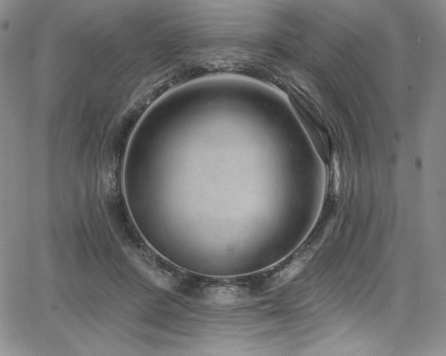 X0000068270408200604211115