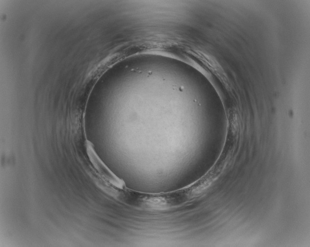 X0000068270409200604211115