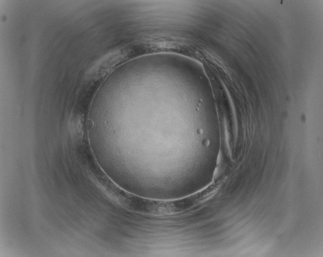 X0000068270410200604211115