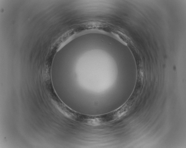 X0000068270411200604211115