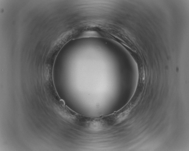 X0000068270412200604211115