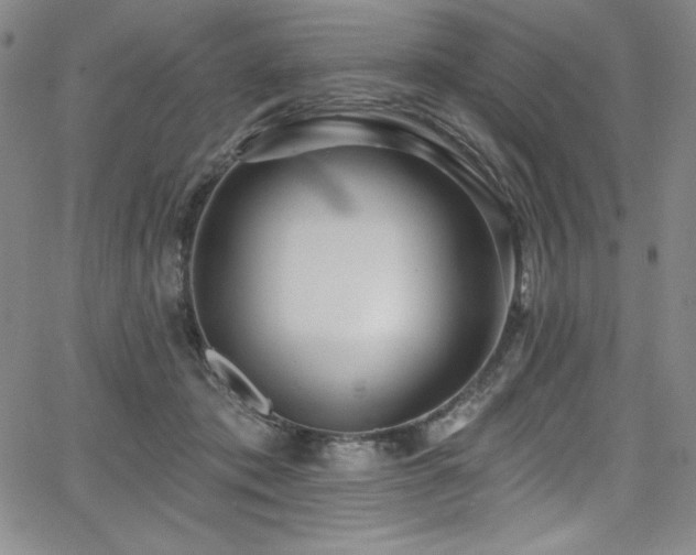 X0000068270413200604211115