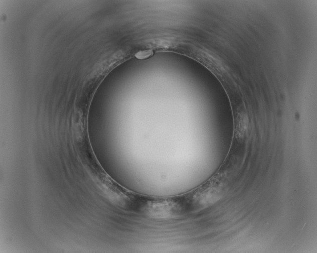 X0000068270414200604211115