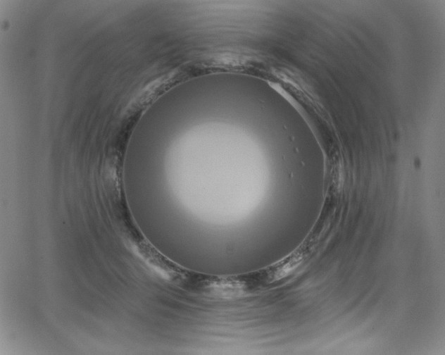 X0000068270415200604211115