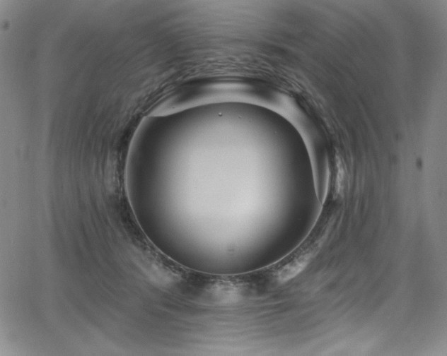 X0000068270416200604211115