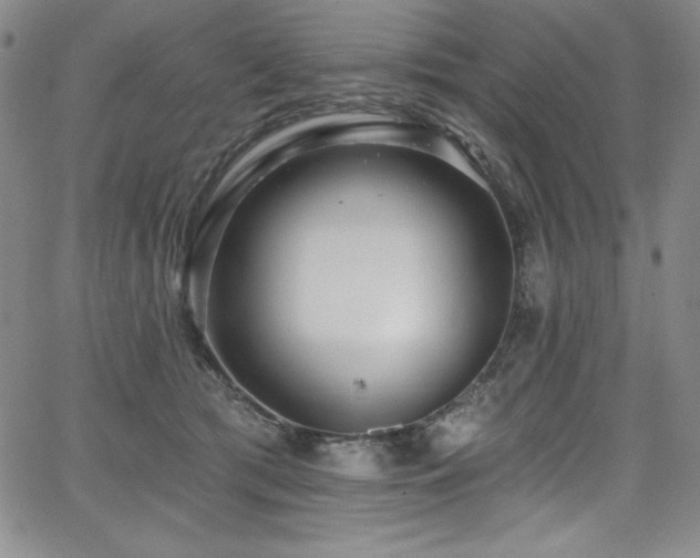 X0000068270417200604211115