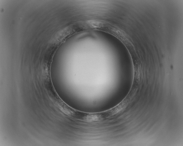 X0000068270418200604211115