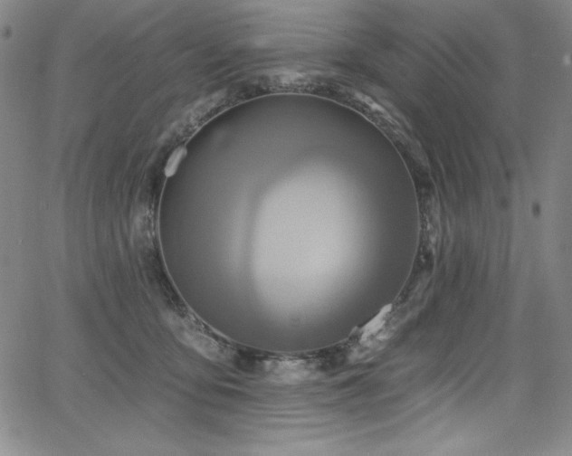 X0000068270419200604211115