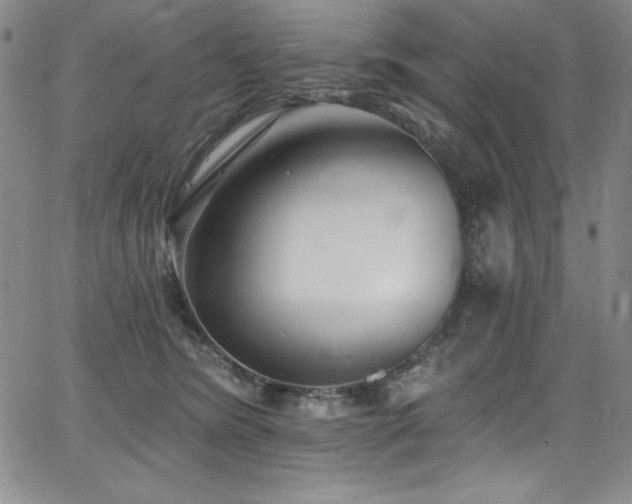 X0000068270420200604211115