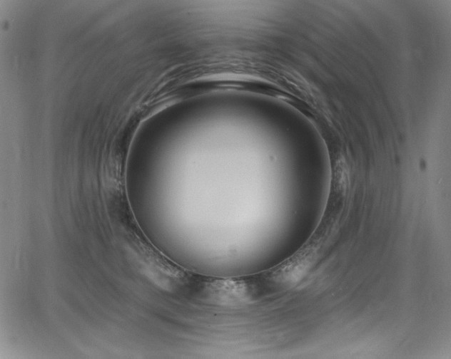 X0000068270421200604211115