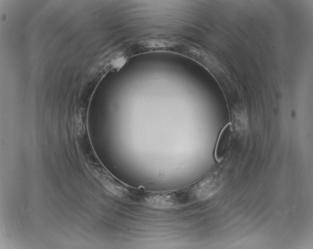 X0000068270422200604211115