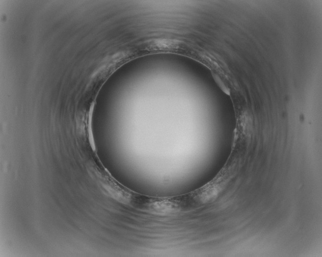 X0000068270423200604211115