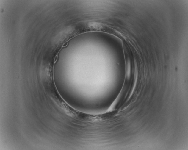 X0000068270424200604211115