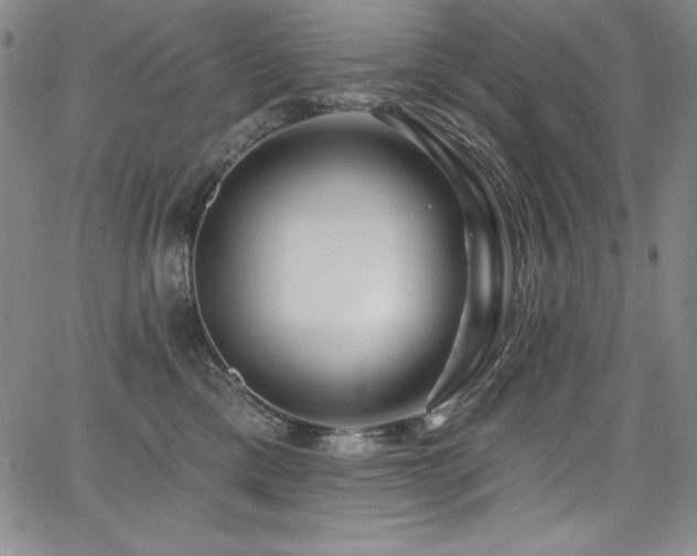 X0000068270425200604211115