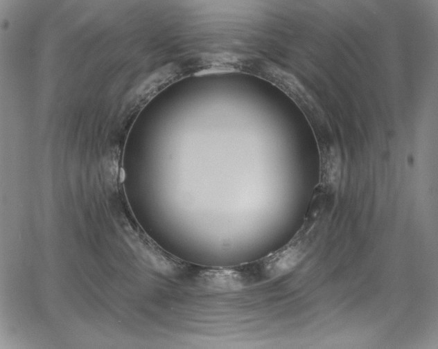 X0000068270427200604211115