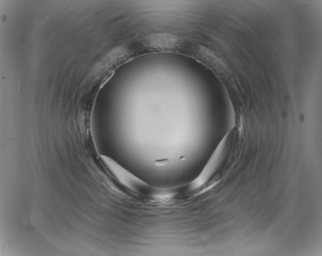 X0000068270428200604211115