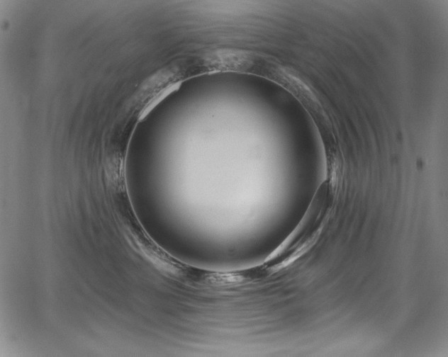 X0000068270429200604211115