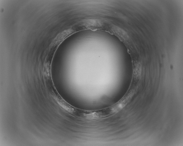 X0000068270430200604211115