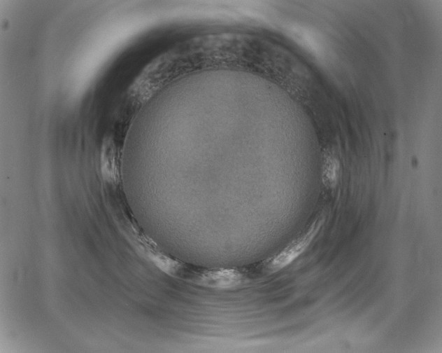 X0000068270431200604211115