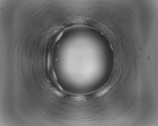 X0000068270432200604211115