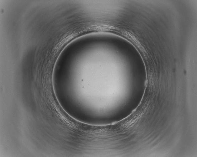 X0000068270433200604211114