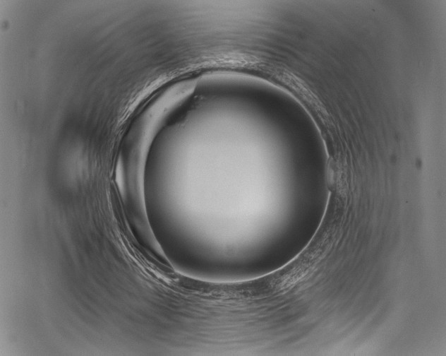 X0000068270434200604211114