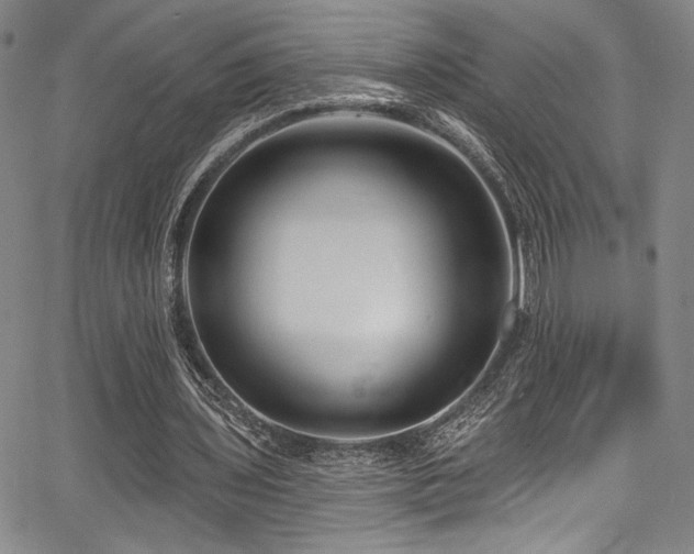 X0000068270435200604211114