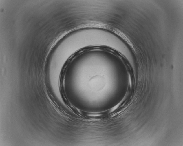 X0000068270436200604211114