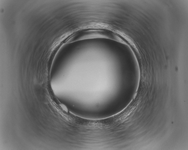 X0000068270437200604211114