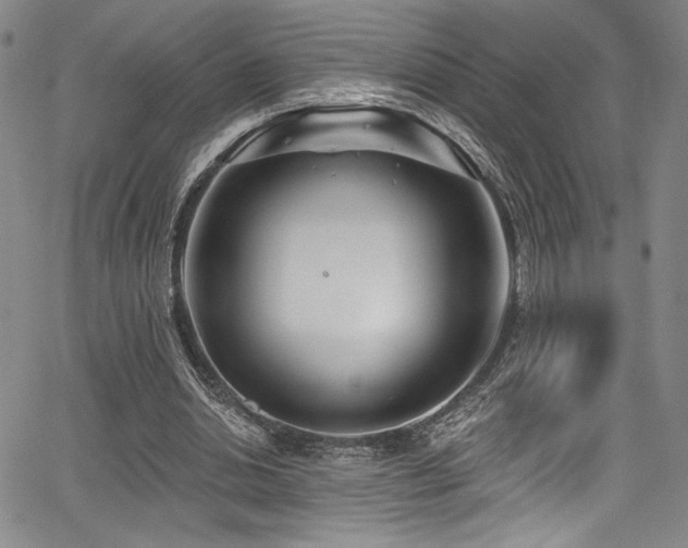 X0000068270438200604211114