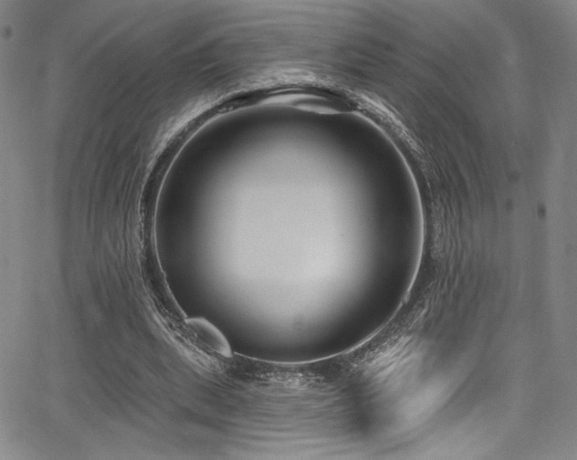 X0000068270439200604211114