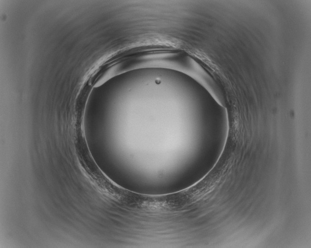 X0000068270440200604211114