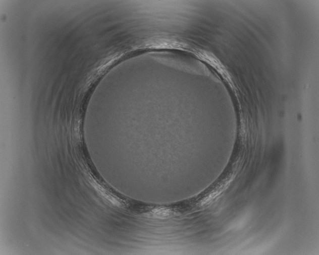 X0000068270441200604211114