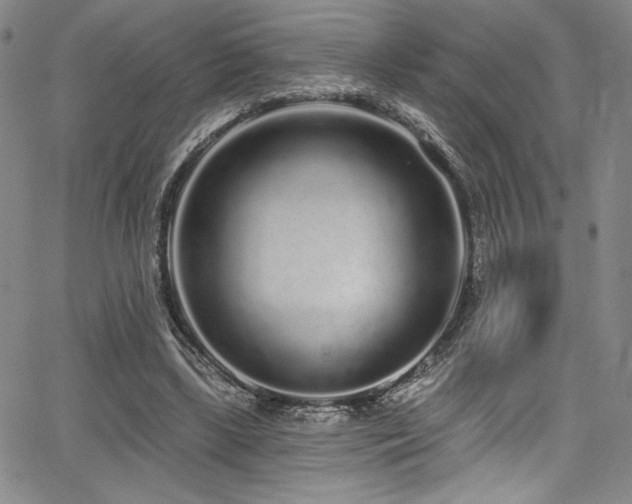 X0000068270443200604211114