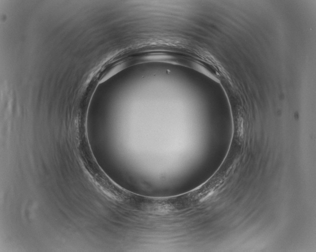 X0000068270444200604211114