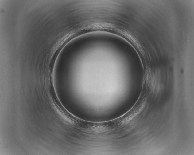 X0000068270445200604211114